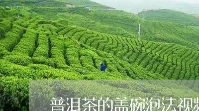 普洱茶的盖碗泡法视频/2023093019703