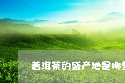 普洱茶的盛产地是哪里/2023092813925