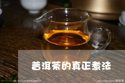 普洱茶的真正煮法/2023112620794