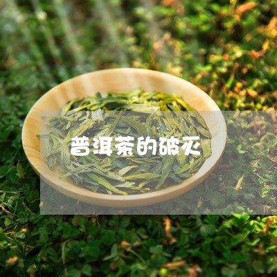 普洱茶的破灭/2023042894485