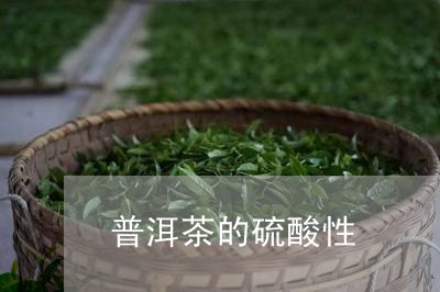 普洱茶的硫酸性/2023102644070