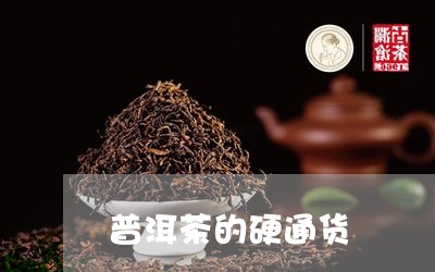 普洱茶的硬通货/2023102641592