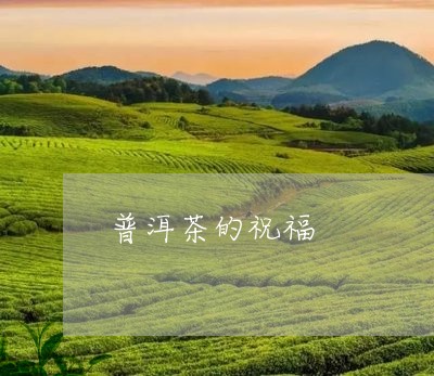 普洱茶的祝福/2023042610145