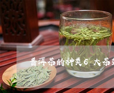 普洱茶的种类6大茶类/2023080200682