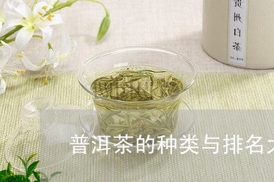 普洱茶的种类与排名大全/2023110180602