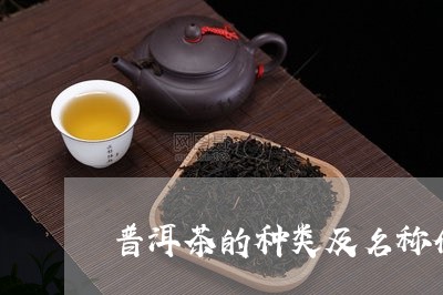 普洱茶的种类及名称介绍视频/2023083033836