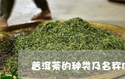 普洱茶的种类及名称价格特点/2023052960593