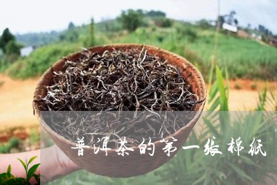 普洱茶的第一张棉纸/2023070928360