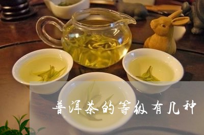 普洱茶的等级有几种/2023071197072