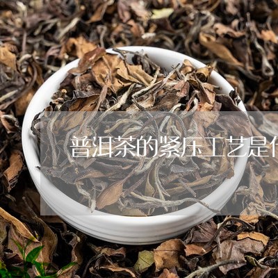 普洱茶的紧压工艺是什么时候有的/2023110340592