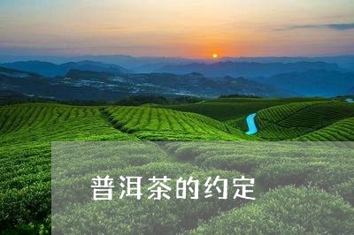 普洱茶的约定/2023081874158