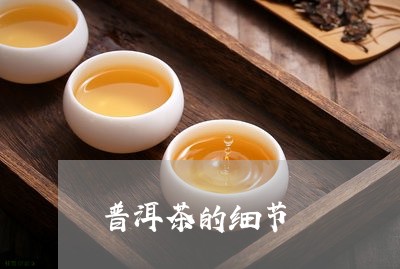 普洱茶的细节/2023042718002