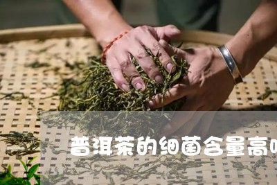 普洱茶的细菌含量高吗百度百科/2023110765269