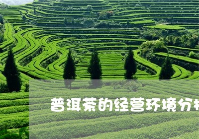 普洱茶的经营环境分析/2023092528471