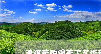 普洱茶的绿茶工艺流程/2023092814926