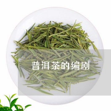 普洱茶的编剧/2023042716502