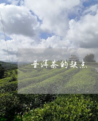 普洱茶的缺点/2023042943407