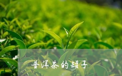 普洱茶的罐子/2023091277279