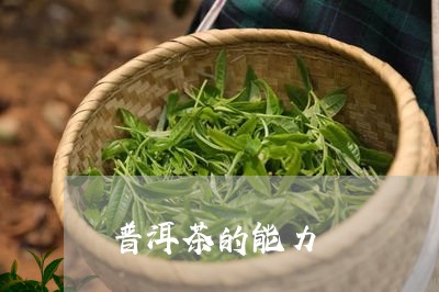 普洱茶的能力/2023042795588