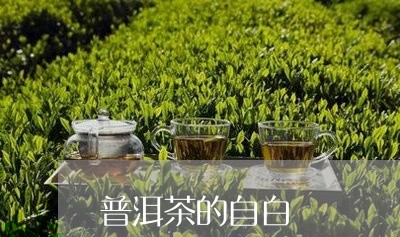 普洱茶的自白/2023042722932