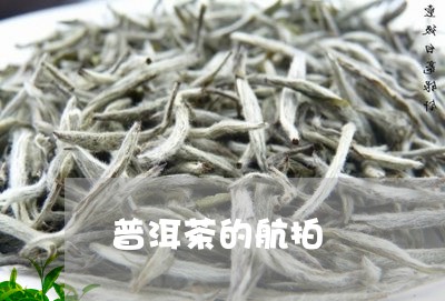 普洱茶的航拍/2023042920064