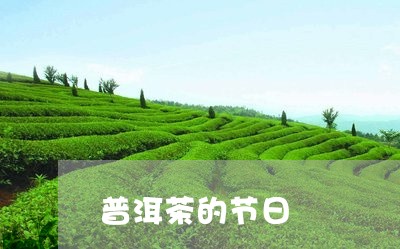 普洱茶的节日/2023042790159