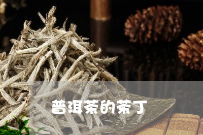 普洱茶的茶丁/2023042819232