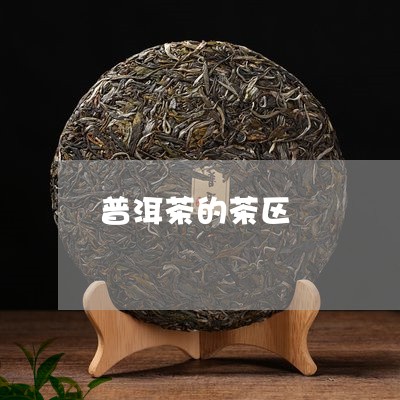 普洱茶的茶区/2023042941737