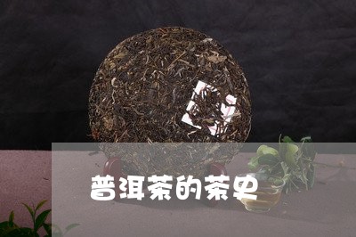 普洱茶的茶史/2023042811868