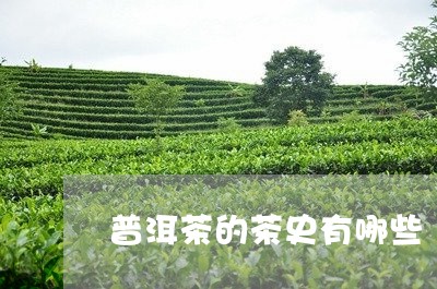 普洱茶的茶史有哪些/2023110388604