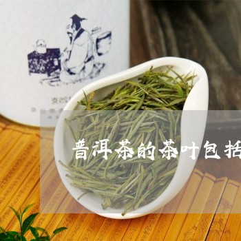 普洱茶的茶叶包括什么/2023080376272