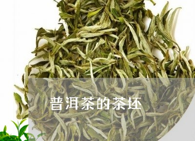 普洱茶的茶坯/2023042980453