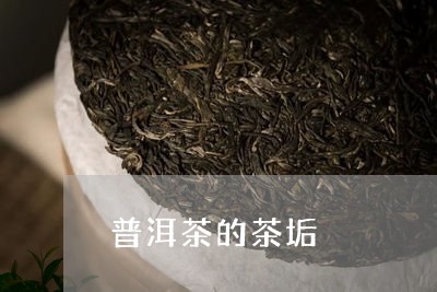 普洱茶的茶垢/2023042749345