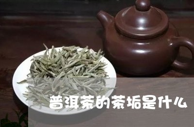 普洱茶的茶垢是什么/2023071160471