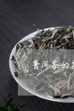 普洱茶的茶形/2023042807368