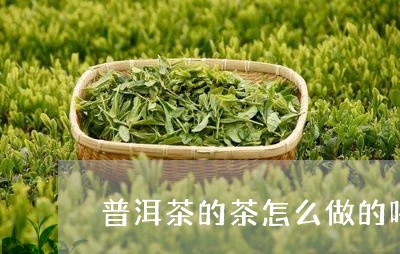 普洱茶的茶怎么做的喝/2023083081814