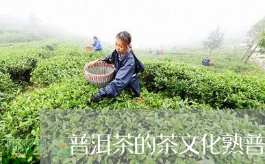 普洱茶的茶文化熟普洱历史有多久/2023060362806