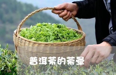 普洱茶的茶晕/2023042830561