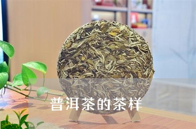 普洱茶的茶样/2023042899996