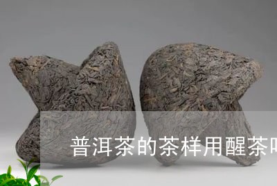 普洱茶的茶样用醒茶吗/2023100796268