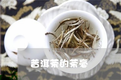 普洱茶的茶毫/2023042880739