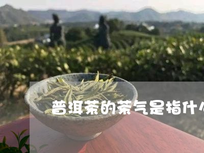 普洱茶的茶气是指什么/2023062321603