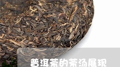 普洱茶的茶汤展现/2023083074927