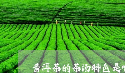 普洱茶的茶汤特色是啥味道/2023082776040