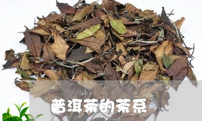 普洱茶的茶系/2023042844961