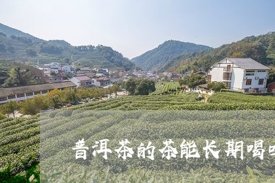 普洱茶的茶能长期喝吗/2023062471502