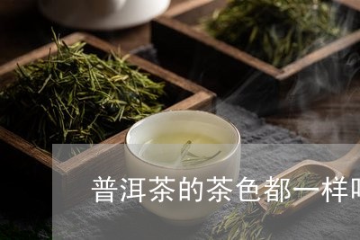 普洱茶的茶色都一样吗/2023092686369