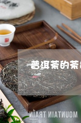 普洱茶的茶色陈到杯底/2023062013726