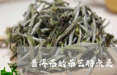 普洱茶的茶艺特点是/2023110731714