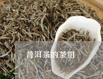 普洱茶的茶钳/2023042806113